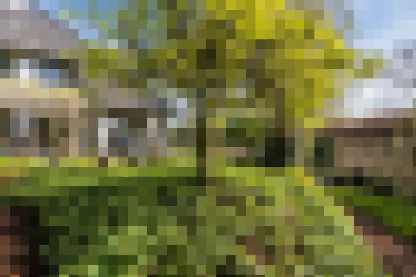 Udenseweg 7 A Veghel thumbnail 33