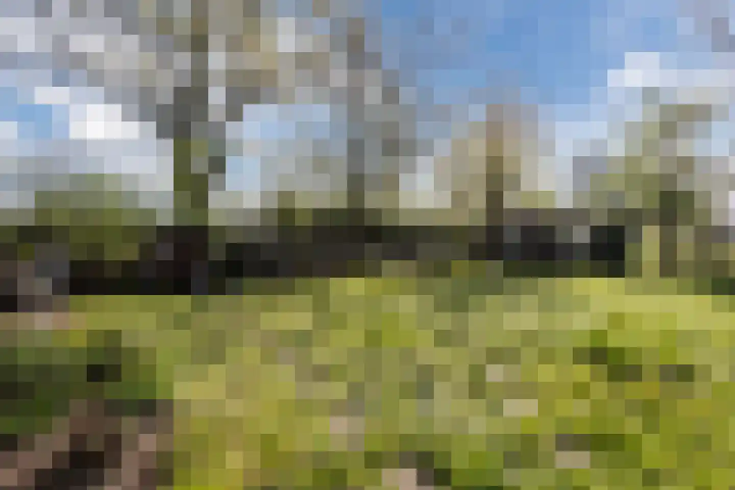Udenseweg 7 A Veghel thumbnail 36