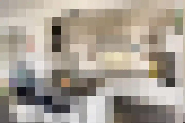 Udinestraat 3 Eindhoven thumbnail 10
