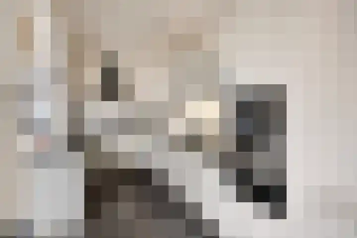 Udinestraat 3 Eindhoven thumbnail 11