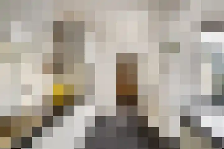 Udinestraat 3 Eindhoven thumbnail 12