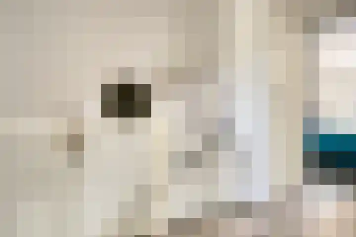 Udinestraat 3 Eindhoven thumbnail 18