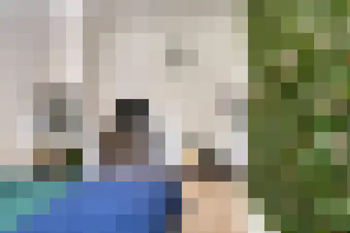 Udinestraat 3 Eindhoven thumbnail 20