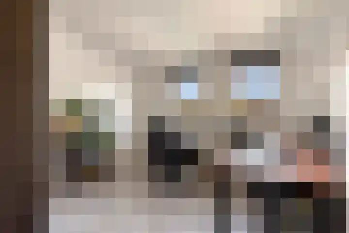 Udinestraat 3 Eindhoven thumbnail 23