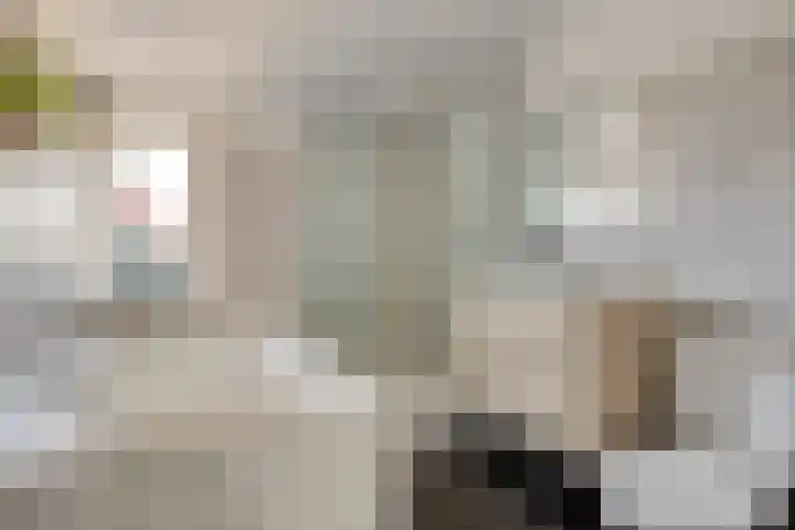 Udinestraat 3 Eindhoven thumbnail 24