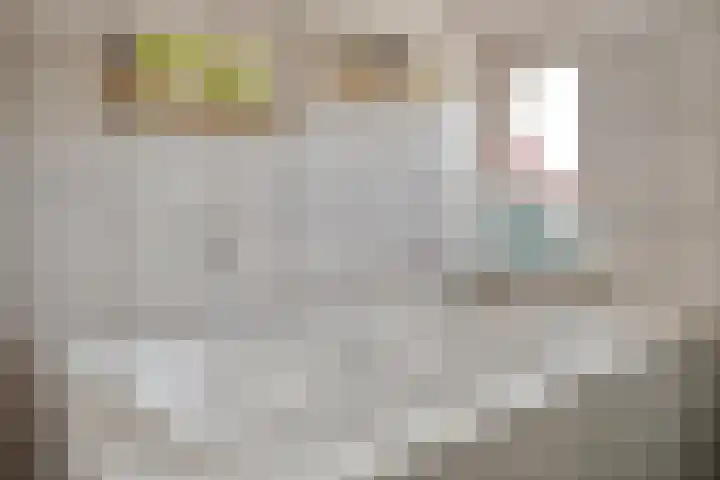 Udinestraat 3 Eindhoven thumbnail 26
