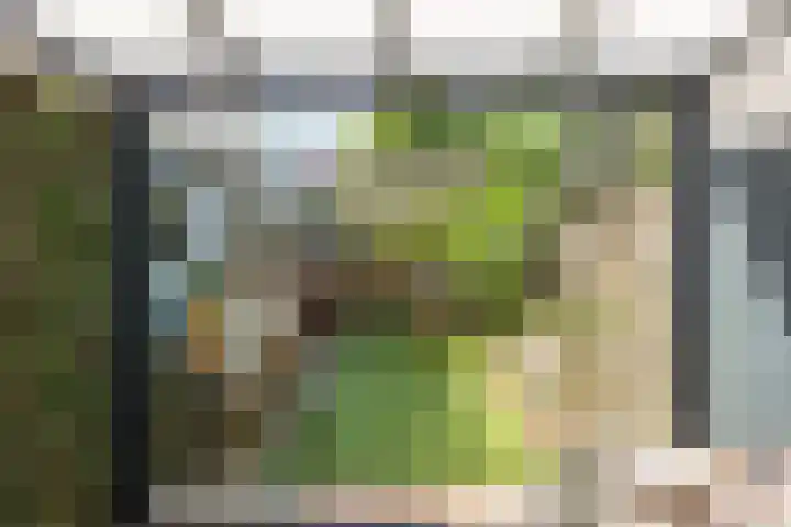 Udinestraat 3 Eindhoven thumbnail 27