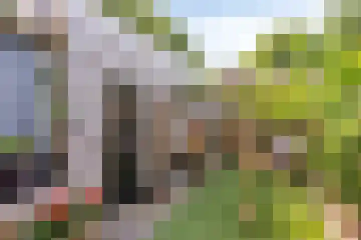 Udinestraat 3 Eindhoven thumbnail 28