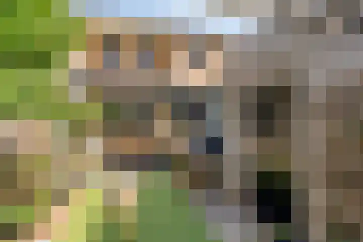 Udinestraat 3 Eindhoven thumbnail 29
