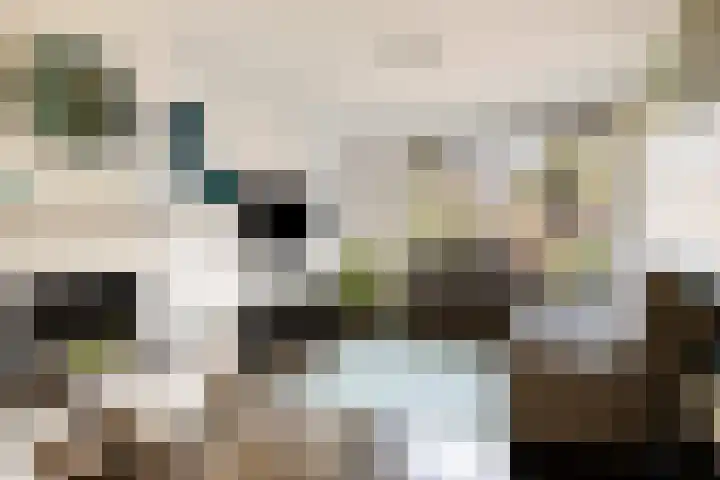 Udinestraat 3 Eindhoven thumbnail 7
