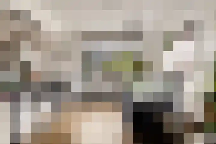 Udinestraat 3 Eindhoven thumbnail 8