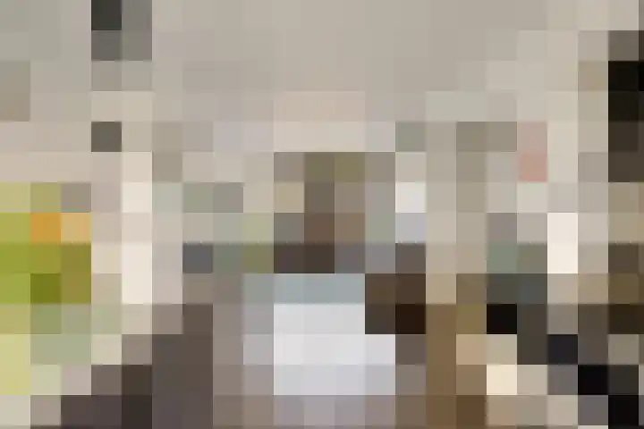 Udinestraat 3 Eindhoven thumbnail 9