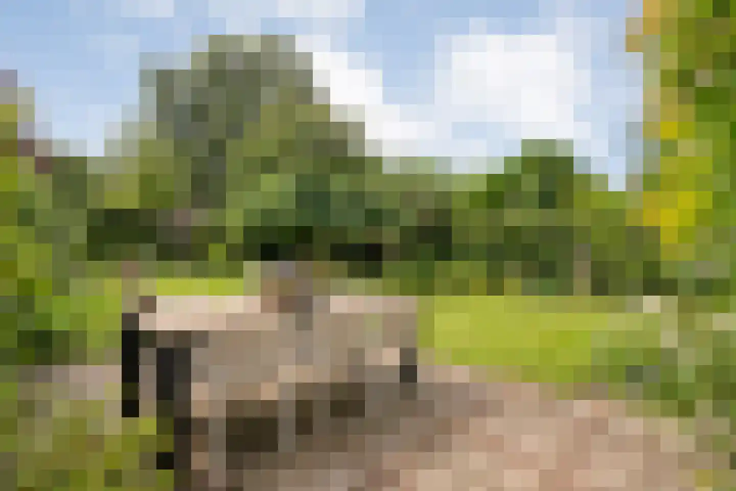 Uelserweg 16 Tubbergen thumbnail 13