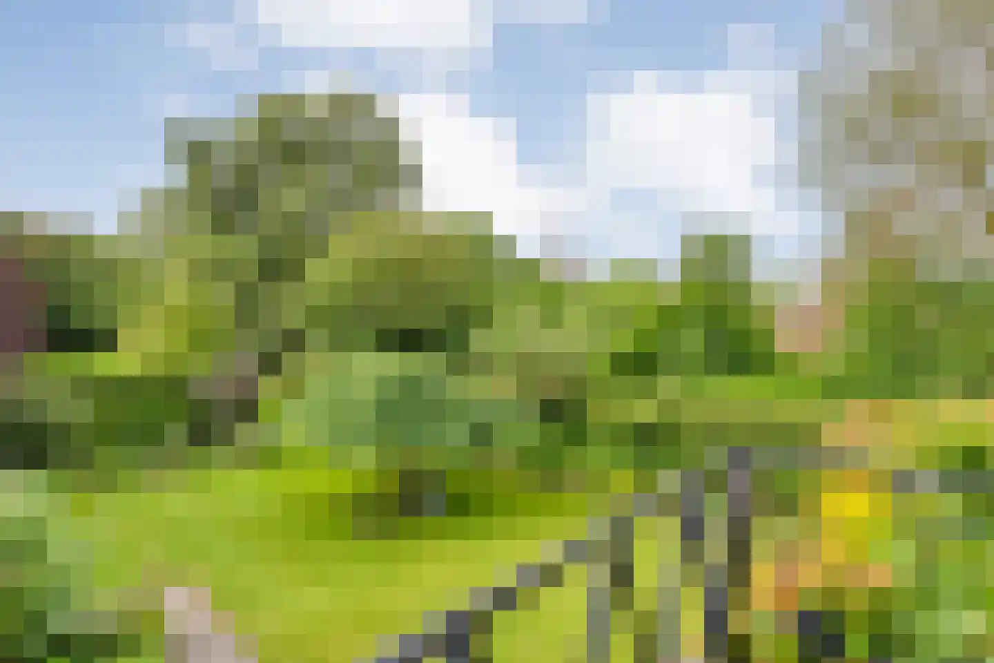 Uelserweg 16 Tubbergen thumbnail 21
