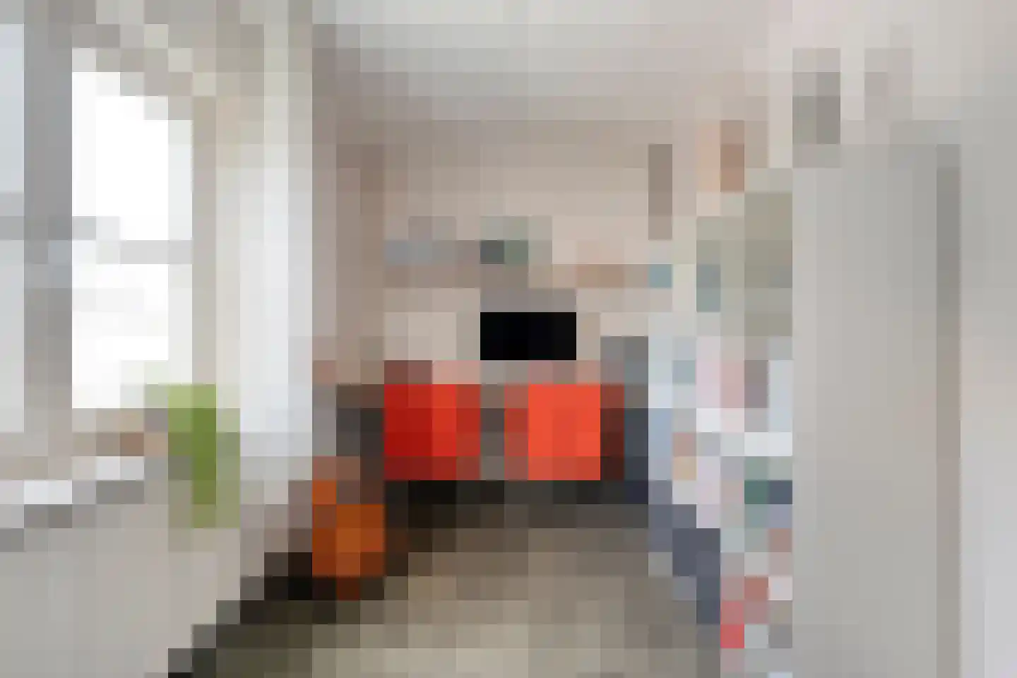 Uelserweg 16 Tubbergen thumbnail 25