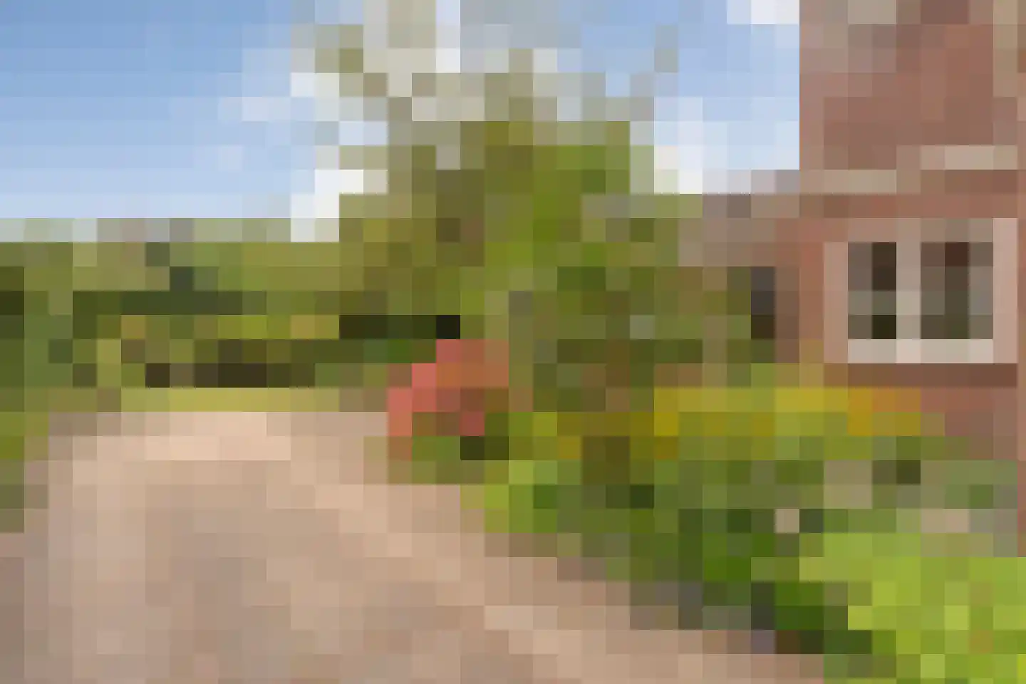 Uelserweg 16 Tubbergen thumbnail 31