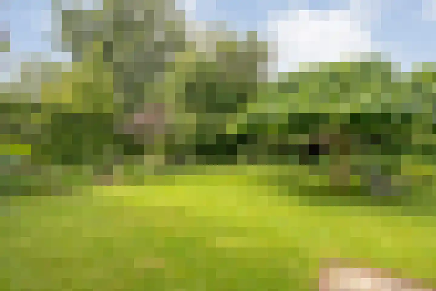 Uelserweg 16 Tubbergen thumbnail 33