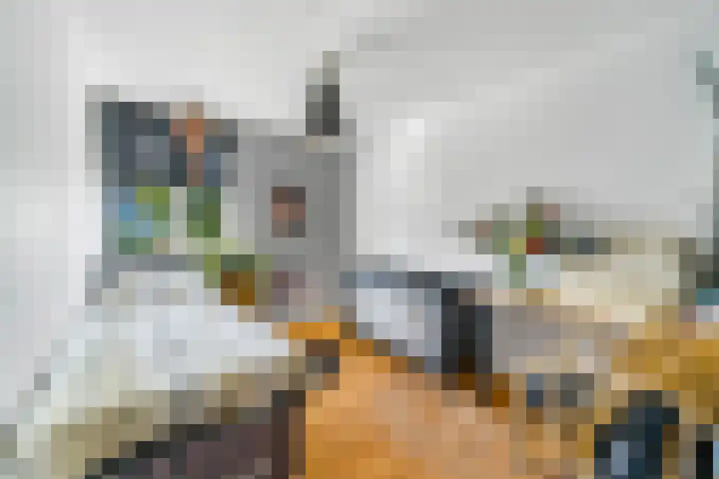 Uelserweg 30 Tubbergen thumbnail 20