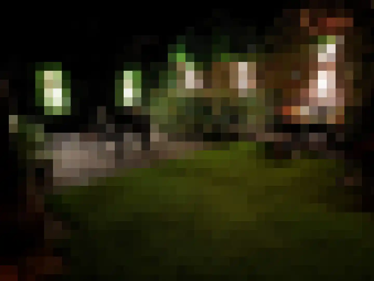 Uelserweg 30 Tubbergen thumbnail 36