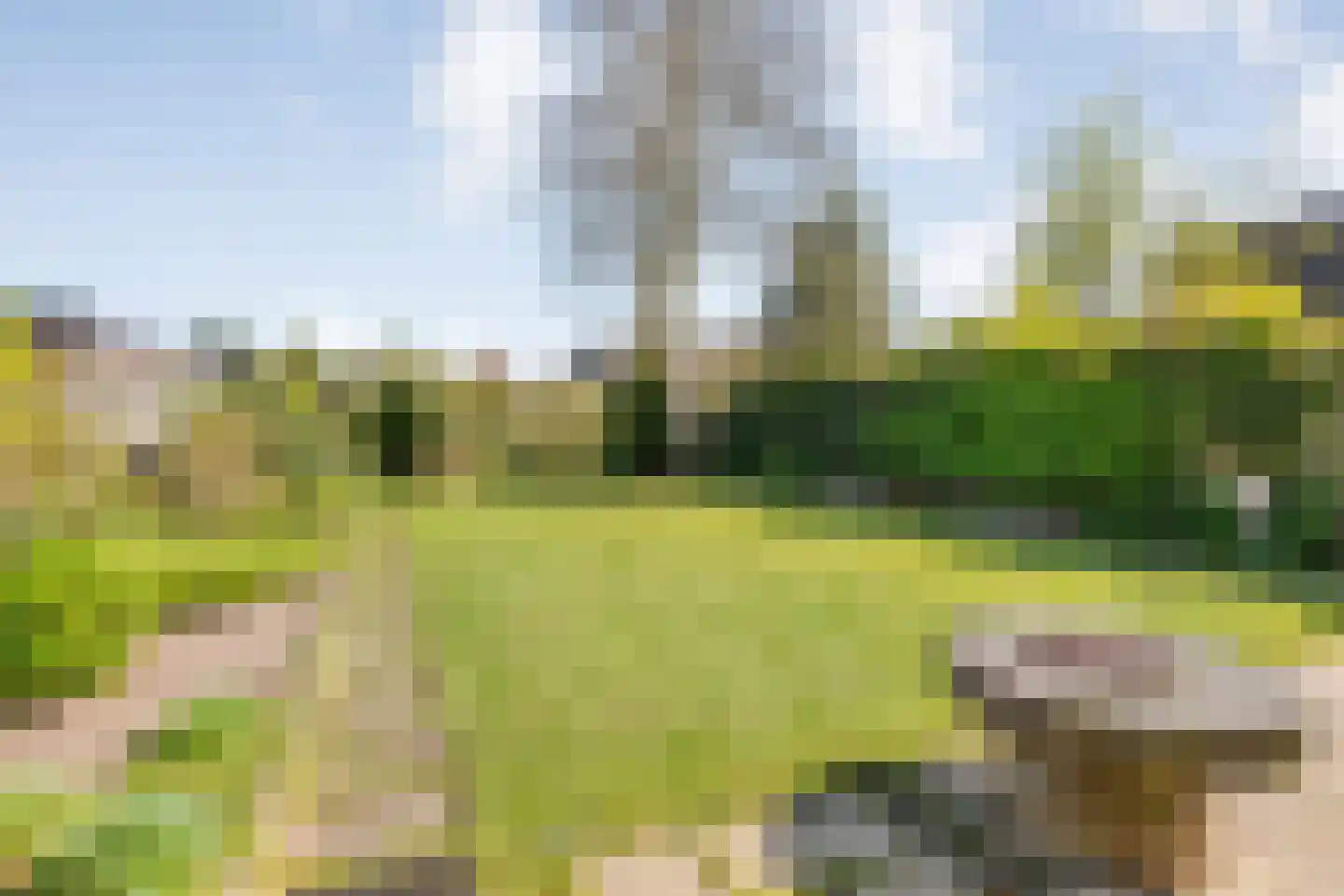 Uelserweg 40 Tubbergen thumbnail 21
