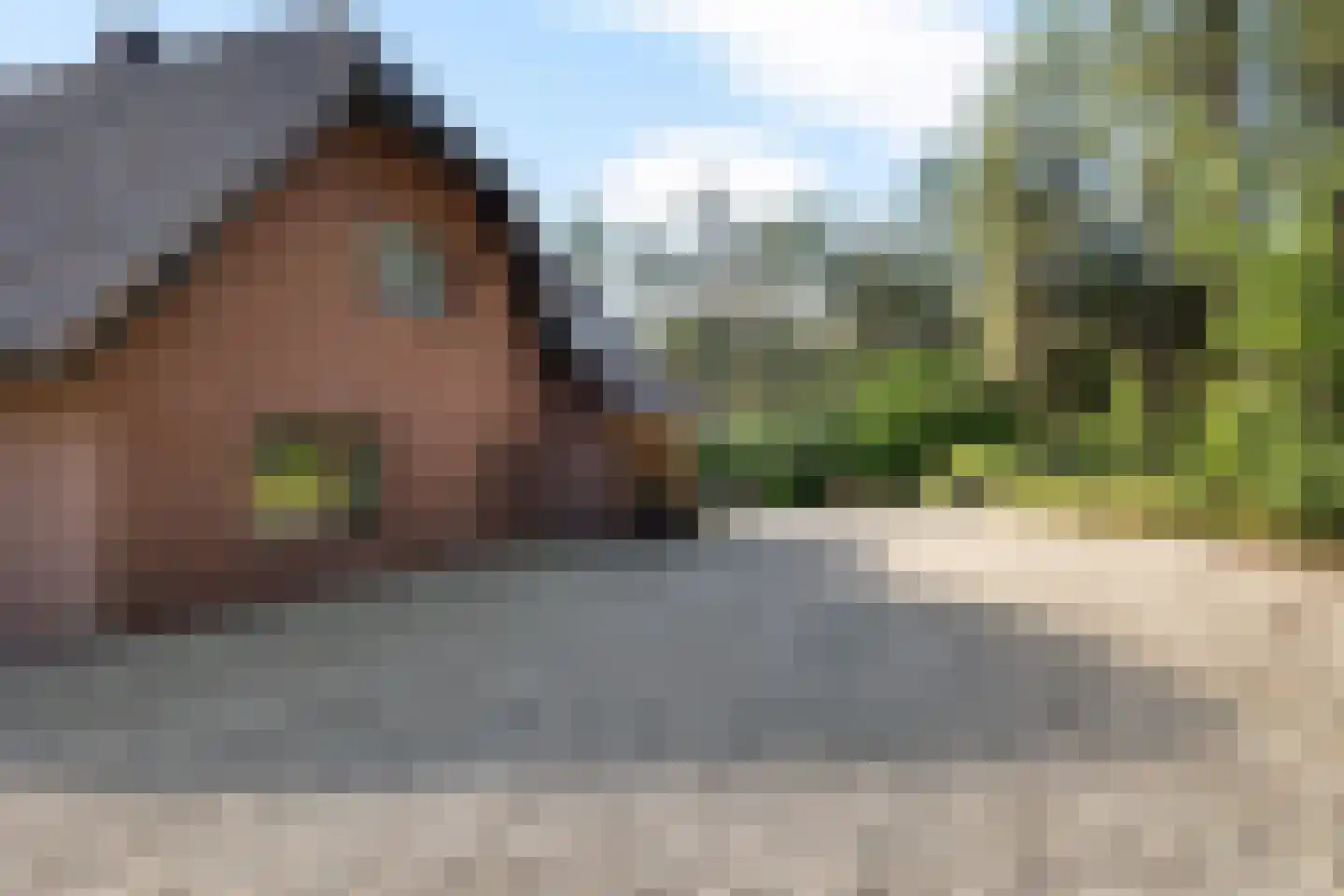 Uelserweg 5 Mander thumbnail 13