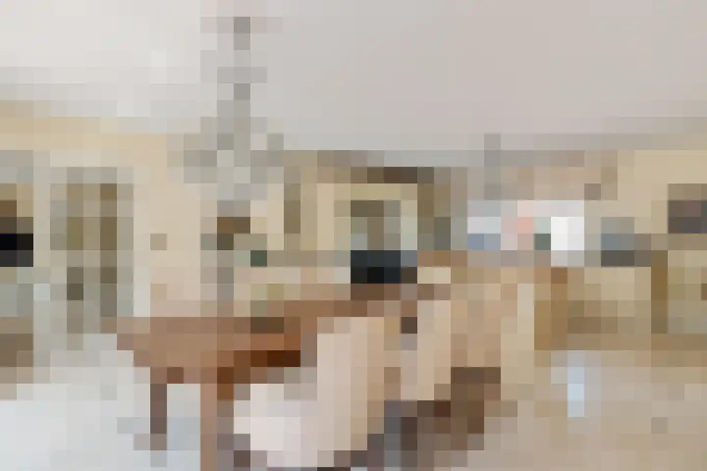 Uelserweg 5 Mander thumbnail 25