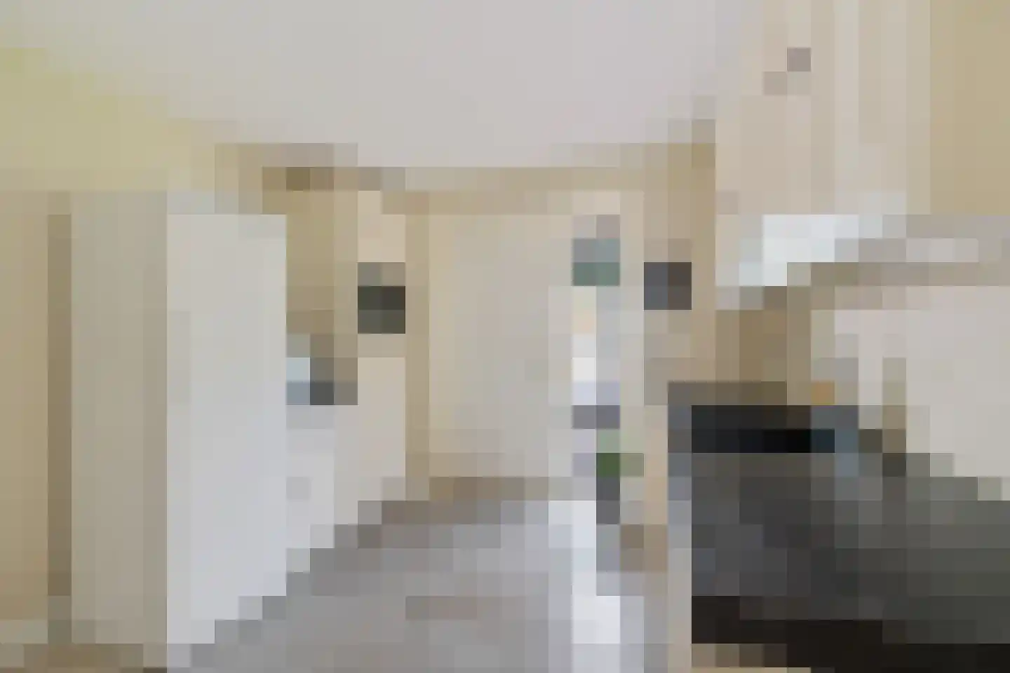 Uelserweg 5 Mander thumbnail 32
