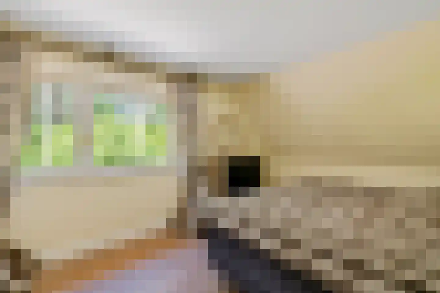 Uelserweg 5 Mander thumbnail 39