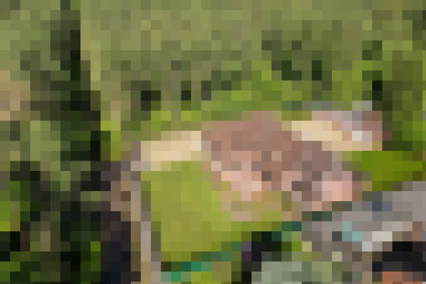 Uelserweg 5 Mander thumbnail 4