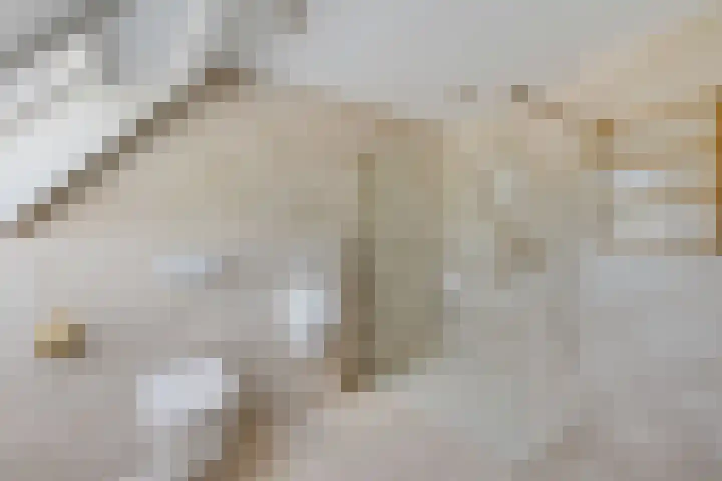 Uelserweg 5 Mander thumbnail 42