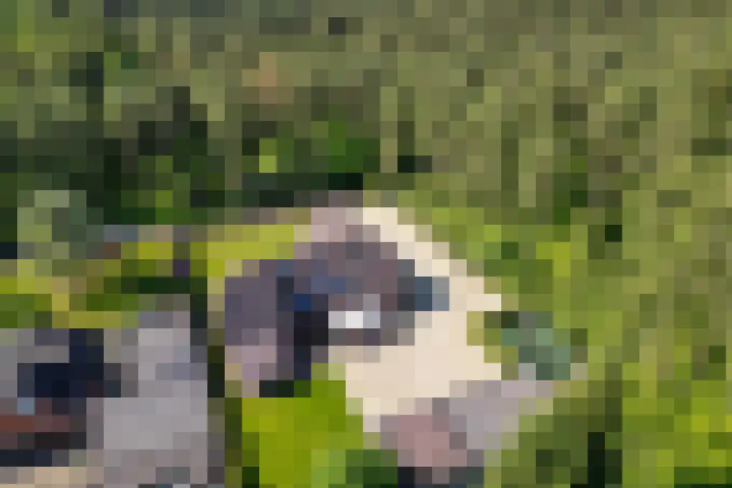 Uelserweg 5 Mander thumbnail 5