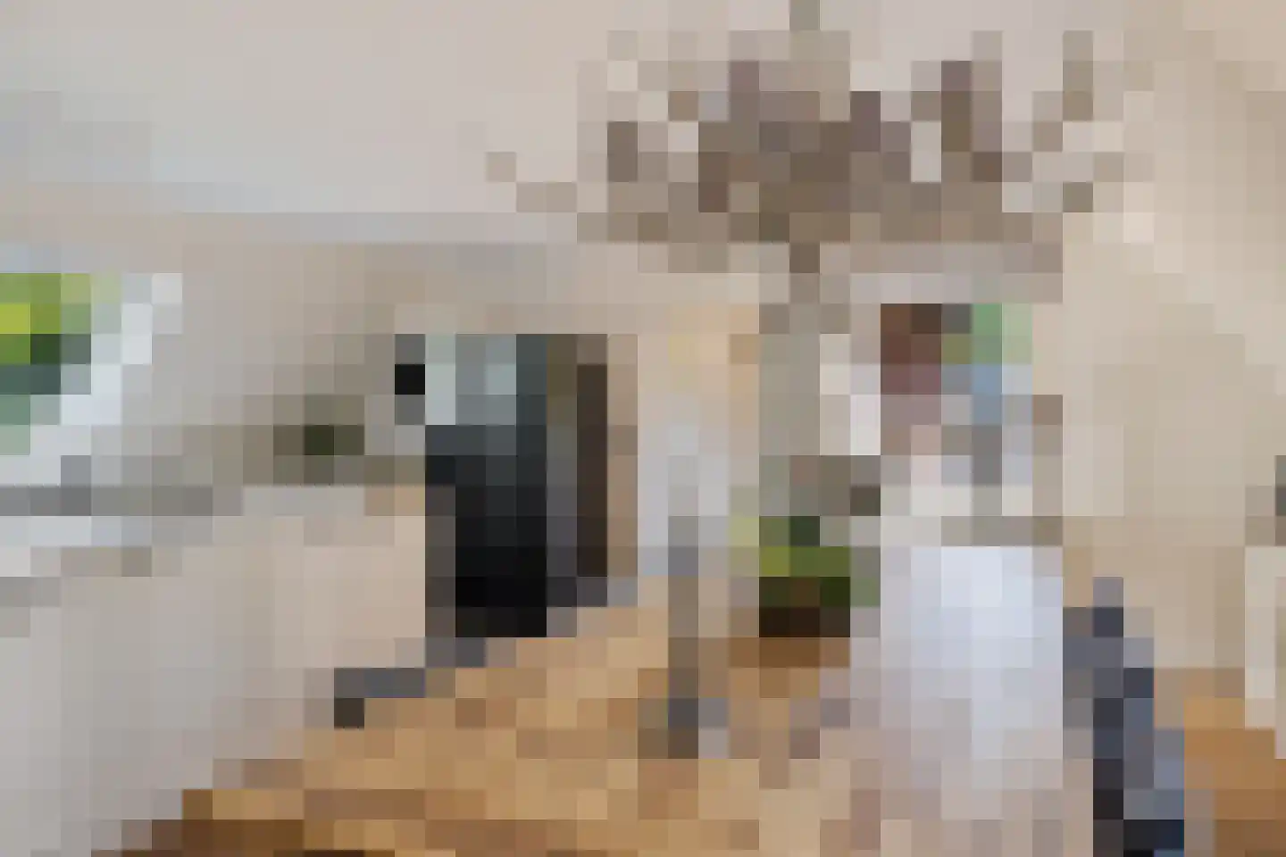 Uelserweg 5 Mander thumbnail 54