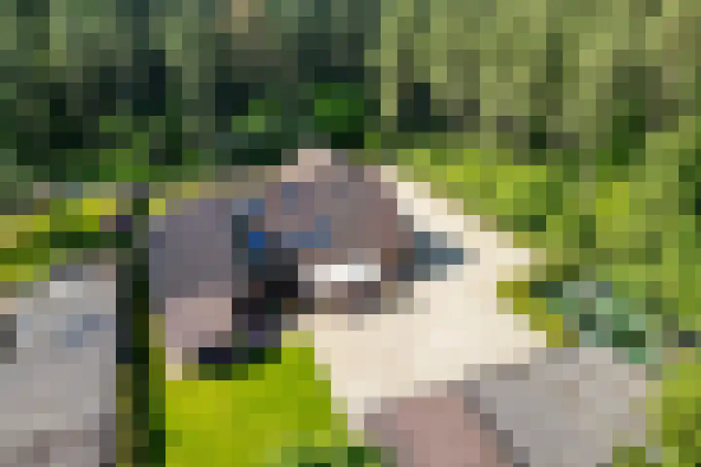 Uelserweg 5 Mander thumbnail 6