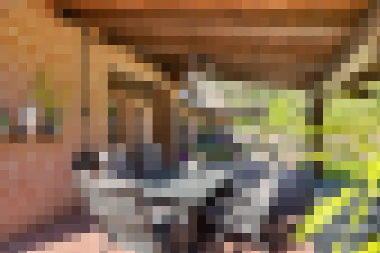 Uelserweg 5 Mander thumbnail 64
