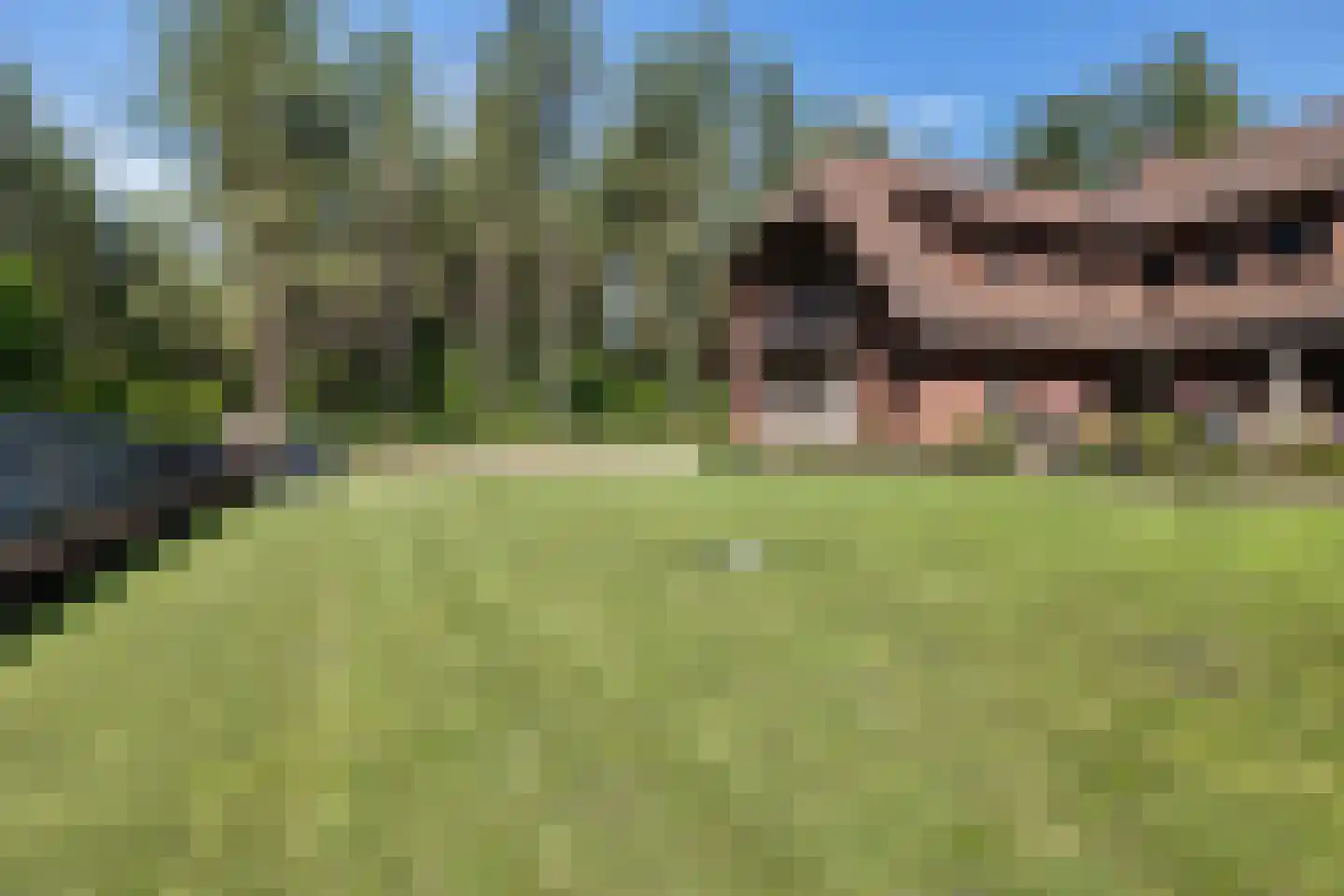 Uelserweg 5 Mander thumbnail 68