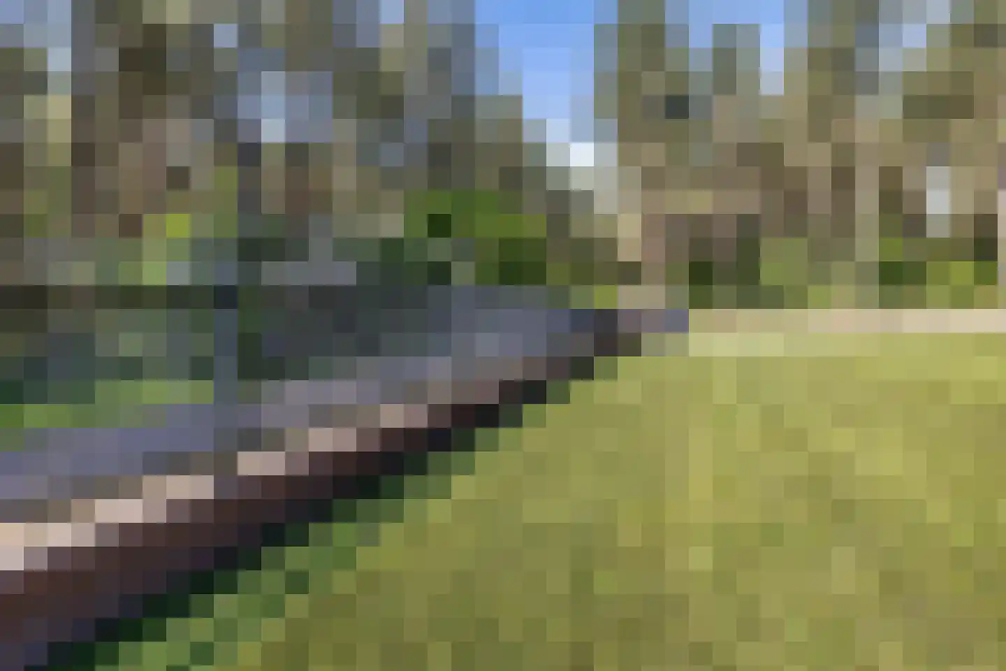Uelserweg 5 Mander thumbnail 69