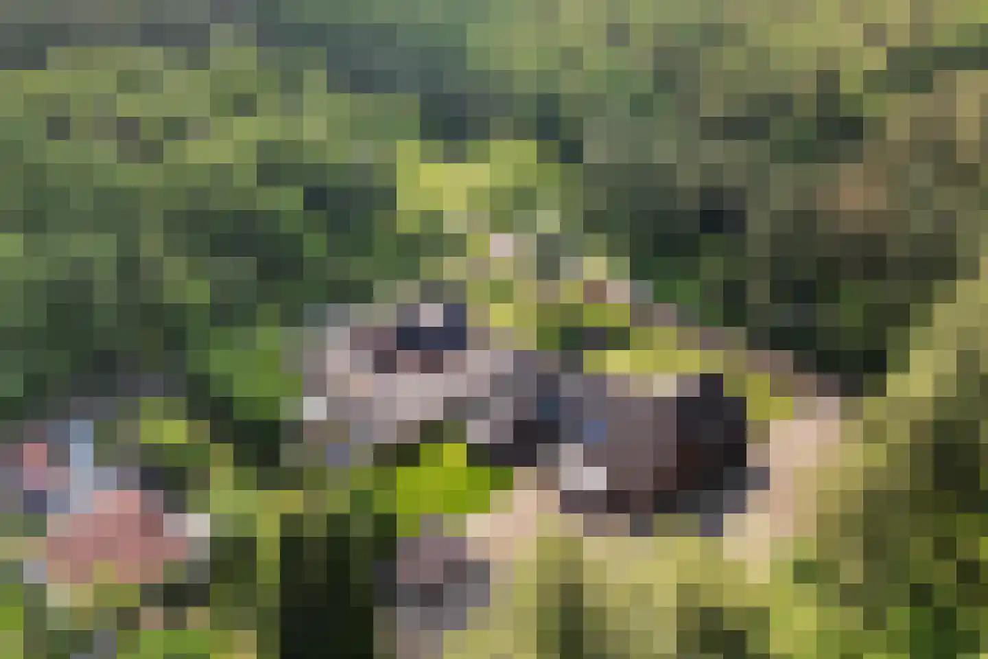 Uelserweg 5 Mander thumbnail 7