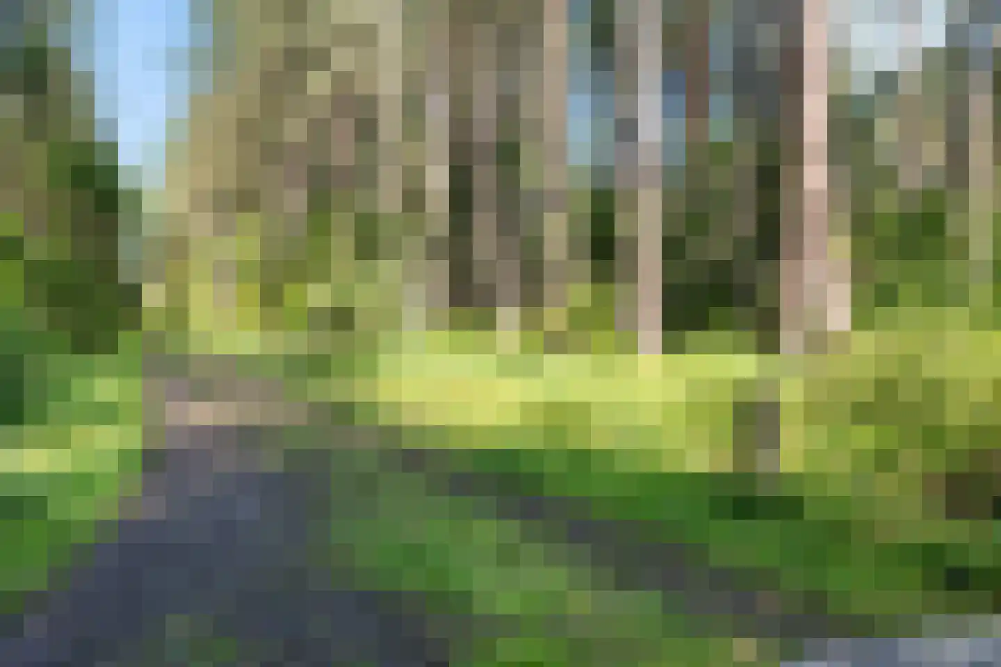Uelserweg 5 Mander thumbnail 8