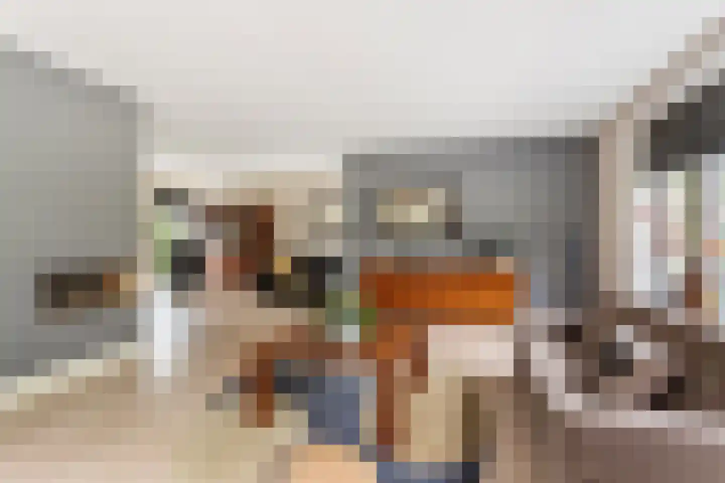 Uelserweg 66 Tubbergen thumbnail 7