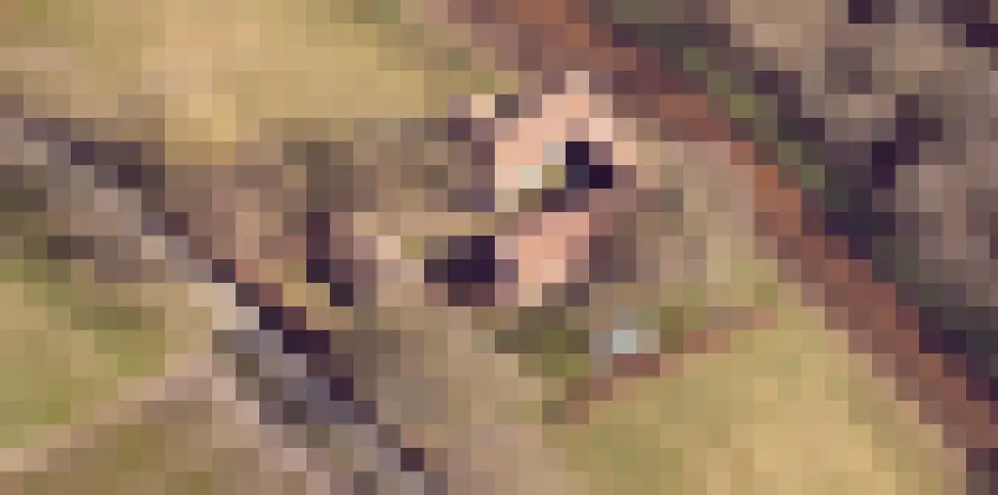 Uffelsestraat 5 Haler thumbnail 10