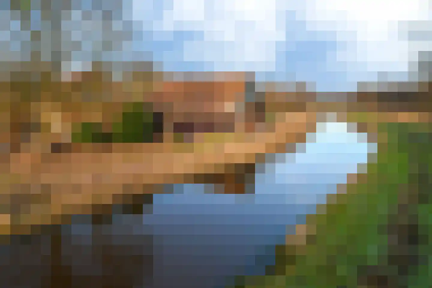 Uffelsestraat 5 Haler thumbnail 12