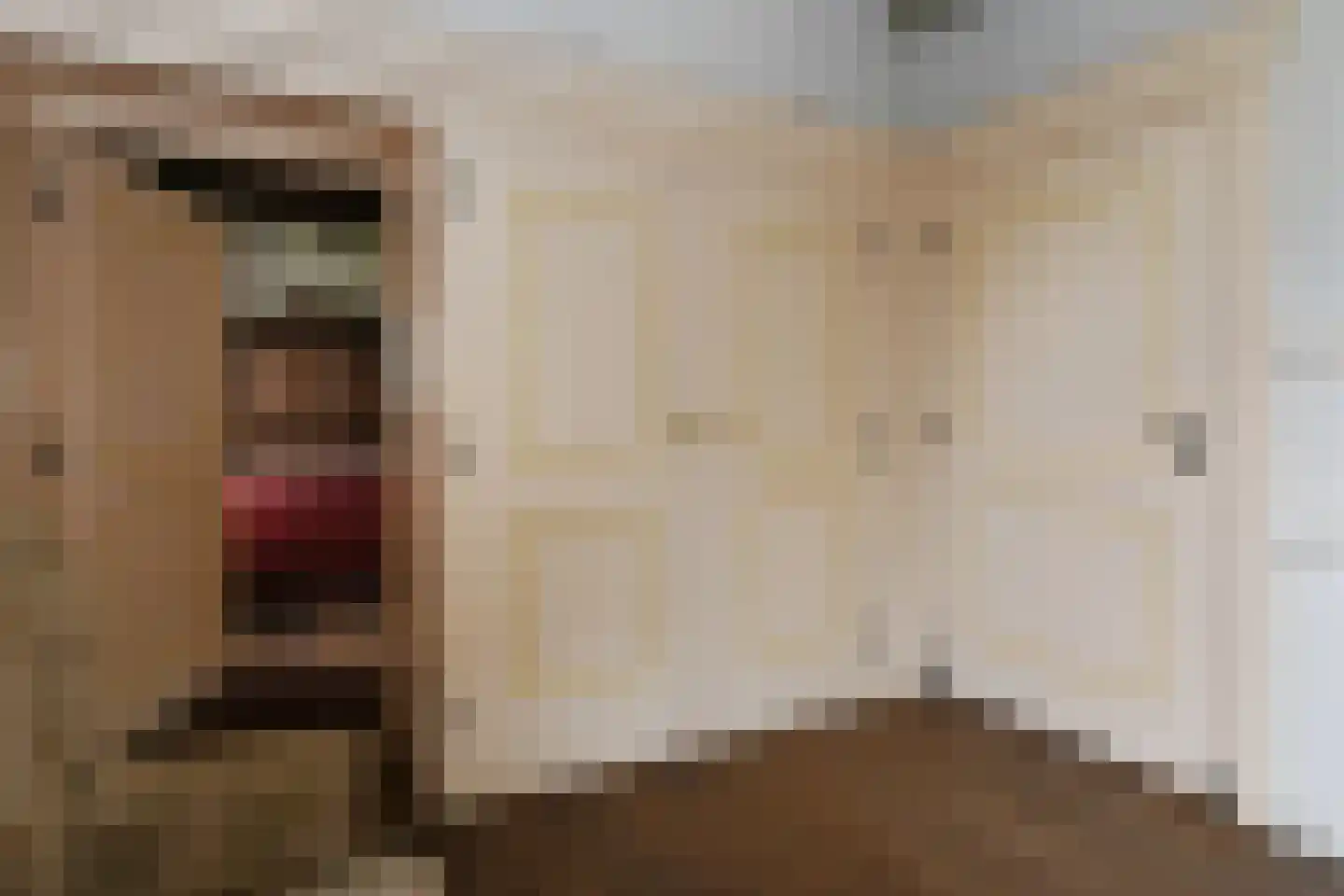 Uffelsestraat 5 Haler thumbnail 20