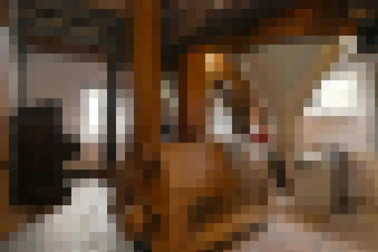 Uffelsestraat 5 Haler thumbnail 26