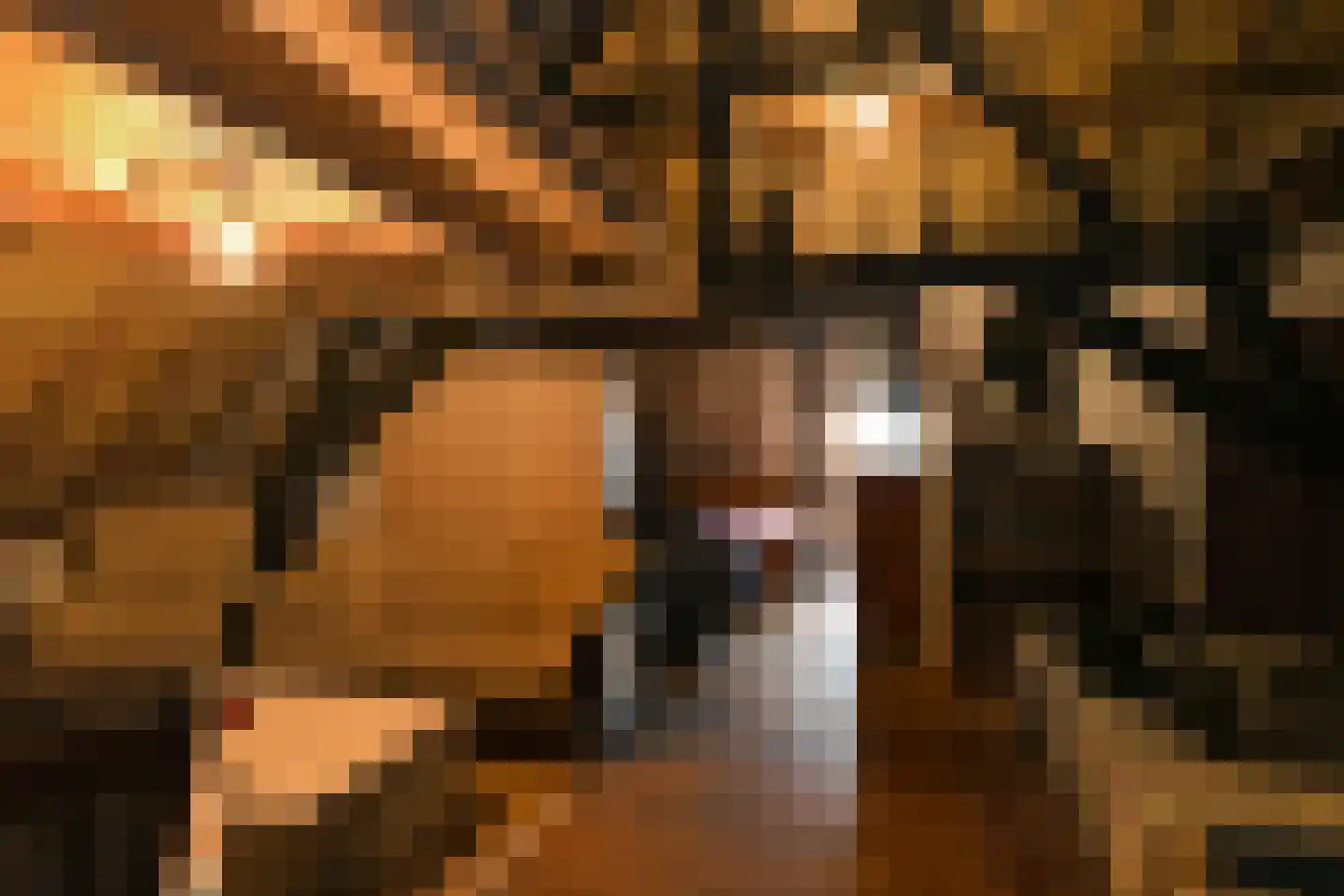 Uffelsestraat 5 Haler thumbnail 28