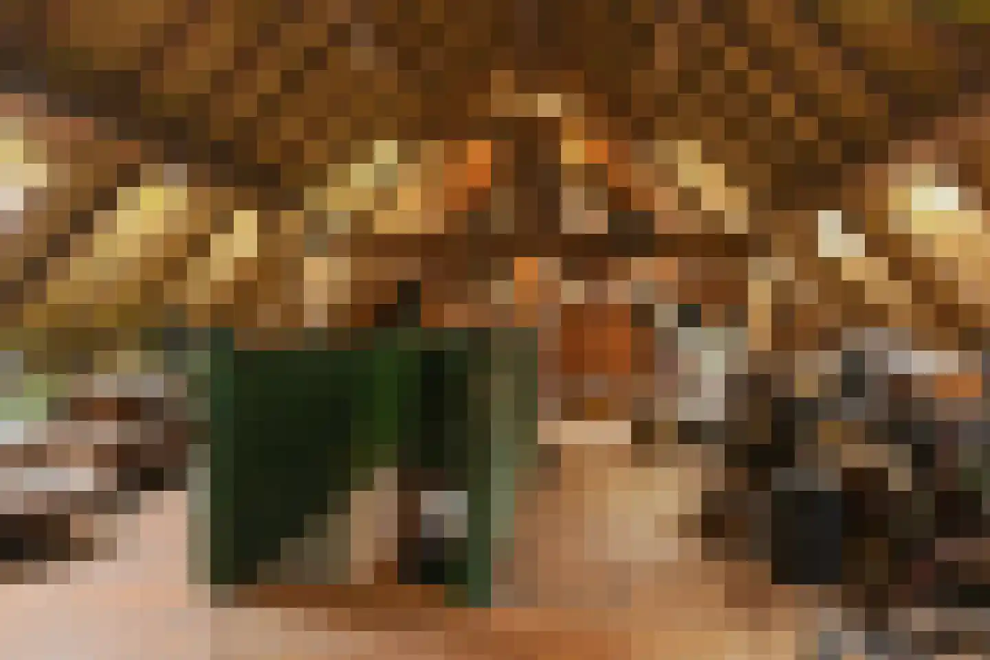 Uffelsestraat 5 Haler thumbnail 30