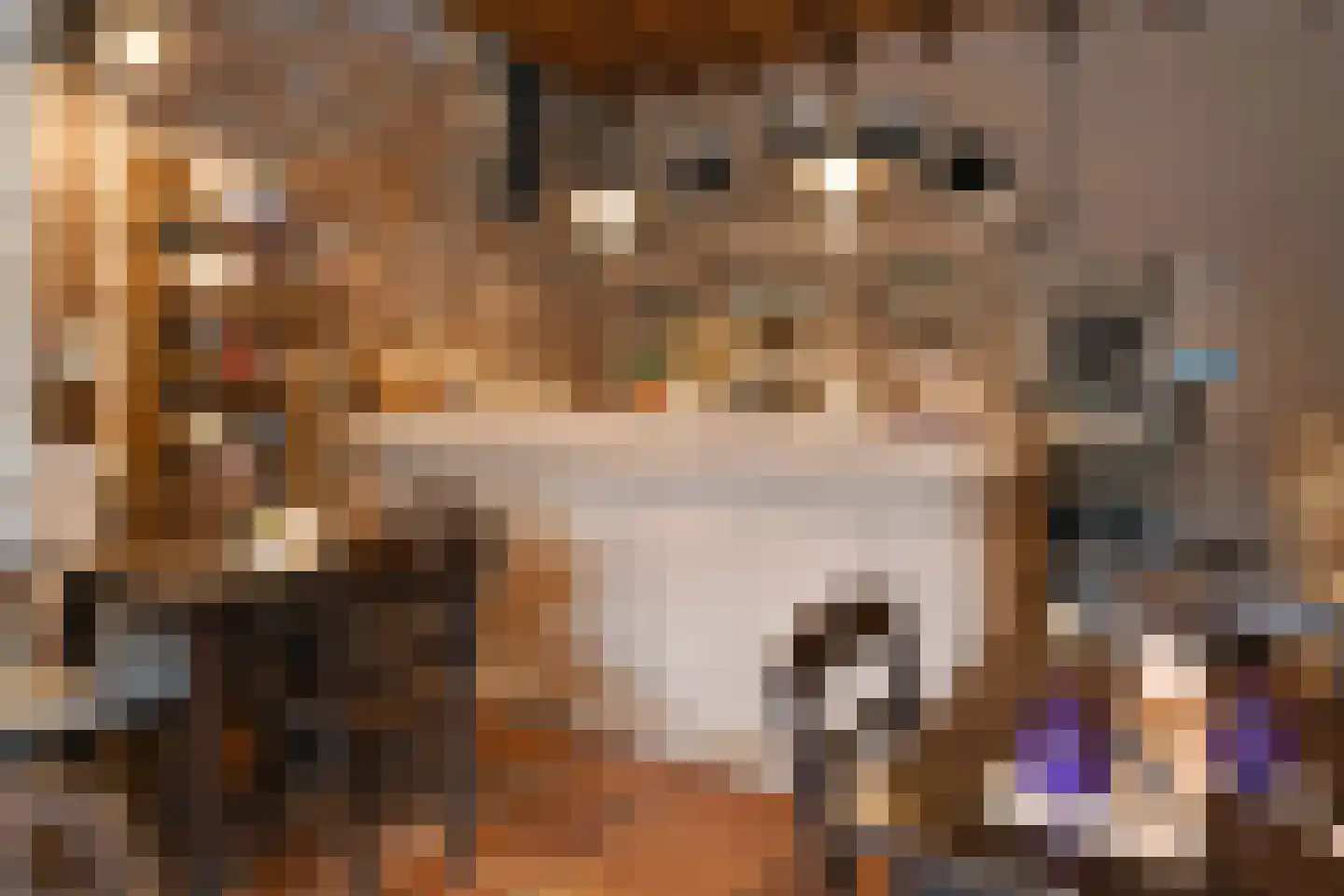 Uffelsestraat 5 Haler thumbnail 34
