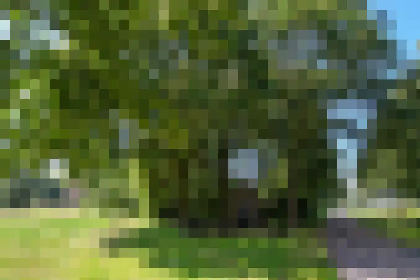Uffelsestraat 5 Haler thumbnail 4