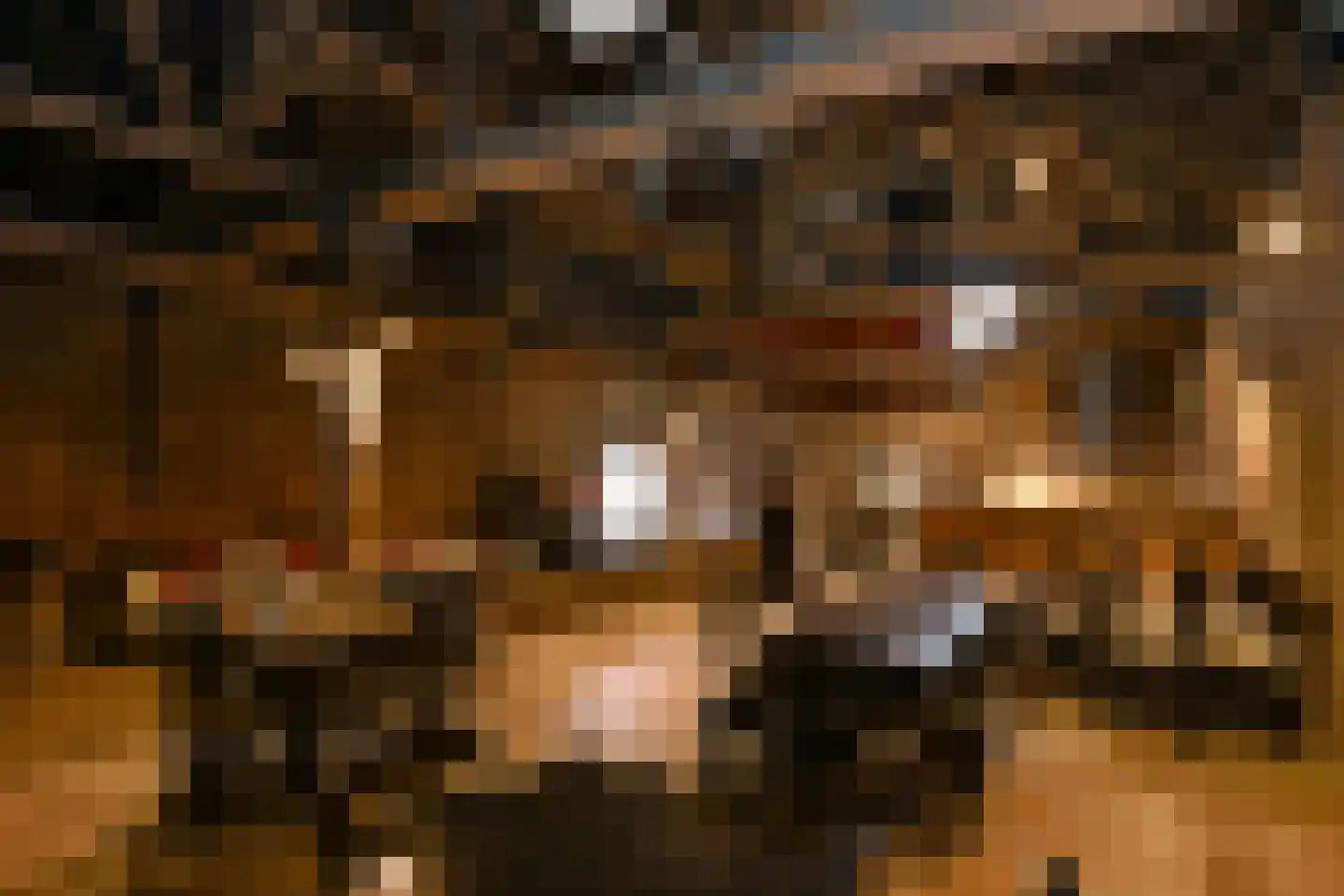 Uffelsestraat 5 Haler thumbnail 40