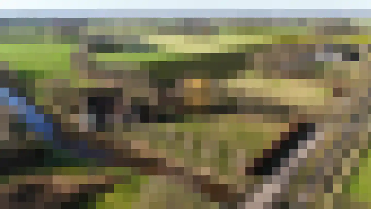 Uffelsestraat 5 Haler thumbnail 51