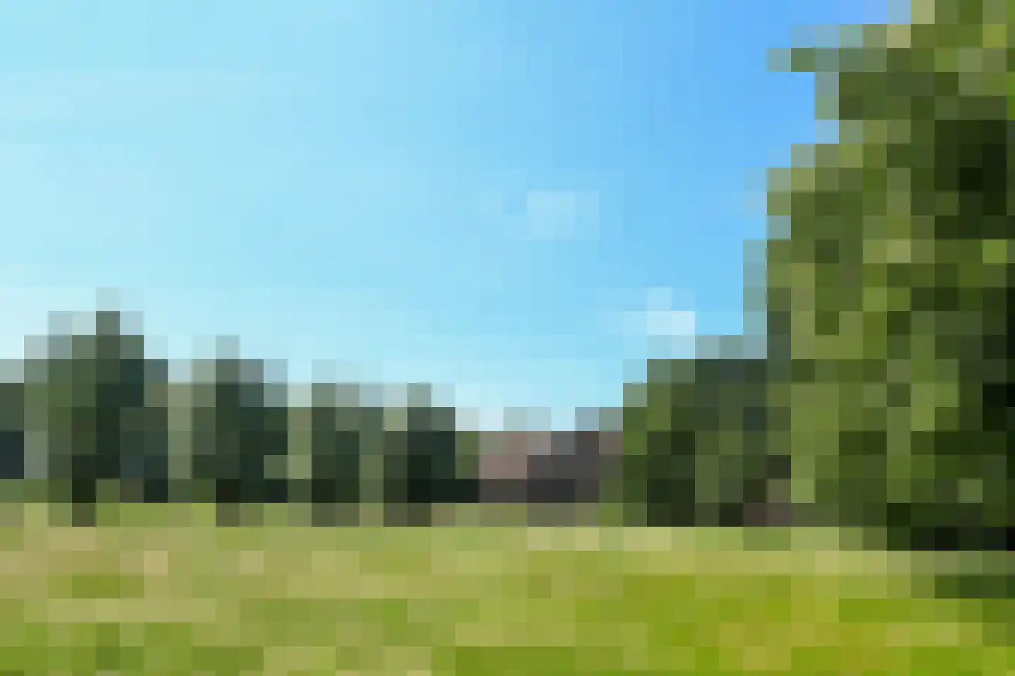Uffelsestraat 5 Haler thumbnail 56